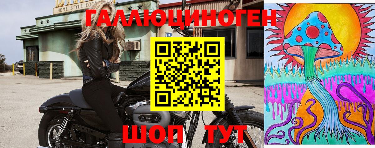 Псилоцибиновые грибы GOLDEN TEACHER Глазов